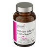 OstroVit Pharma PRO-60 BIOTIC LactoSpore® 60 capsule